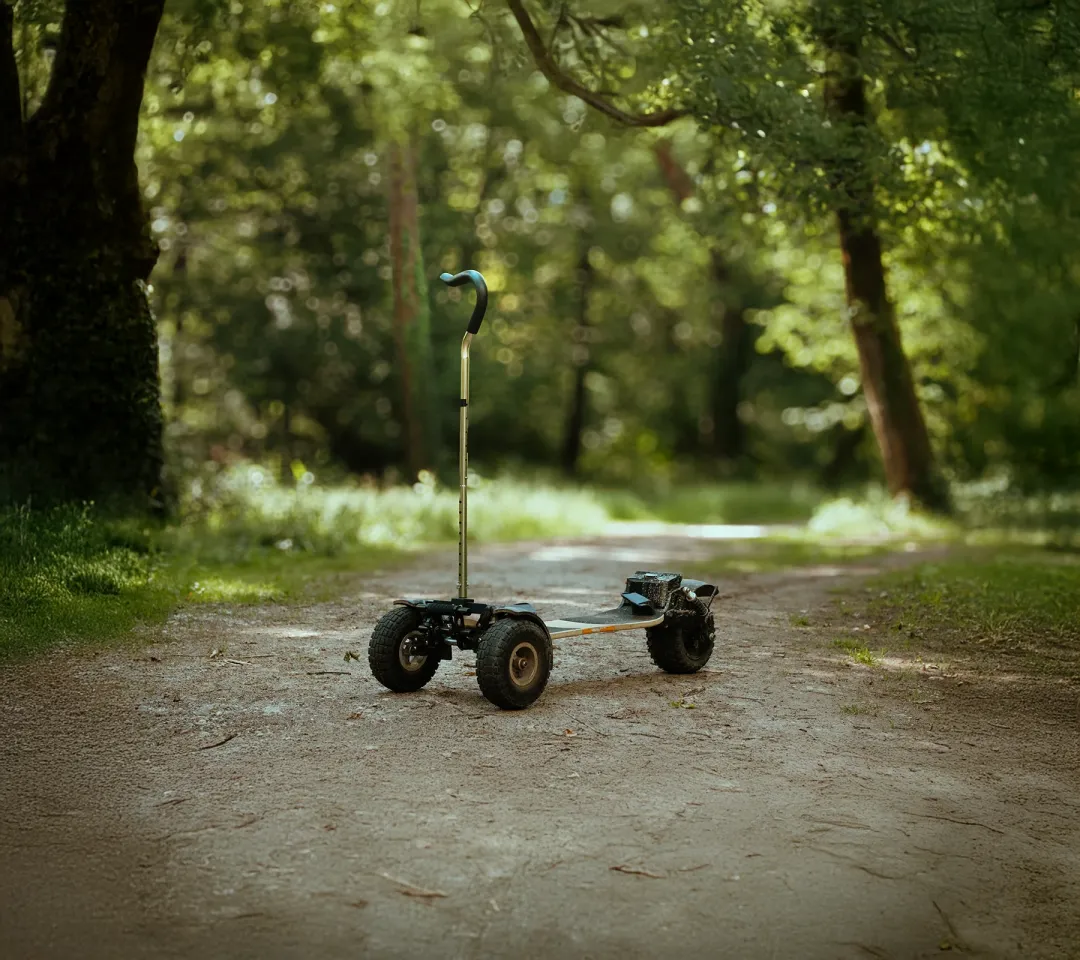 Canne accessibilité Sternboard planche électrique initiation apprentissage accessoire débutant glisse accessible tous